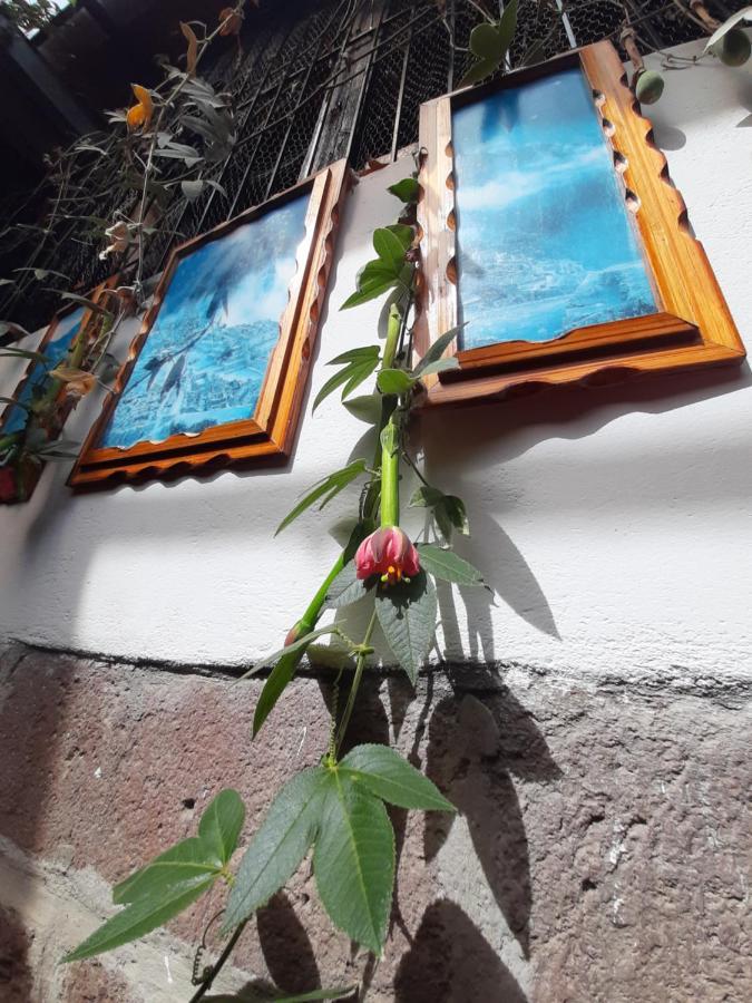 La Casa De Laura - Plaza Ξενοδοχείο Κούζκο Εξωτερικό φωτογραφία